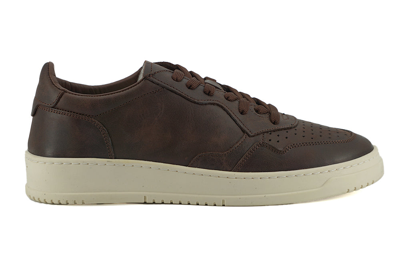 Saxone Of Scotland Brown Leather Low Top Trainers
