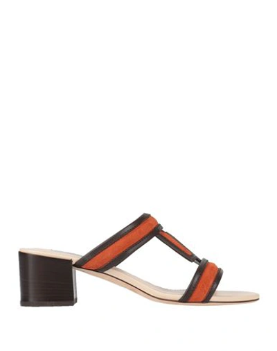 Tod's Woman Sandals Rust Size 6.5 Leather In Red