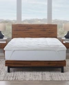 Ella Jayne Luxury White Down 2 Piece Comforter And Featherbed Bundle, California King In White