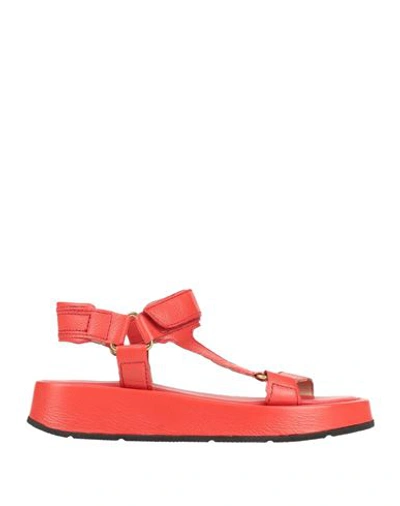 Mjus Woman Sandals Red Size 11 Soft Leather