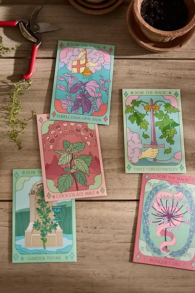 Terrain Sow The Magic Herb Seed Collection In Multi