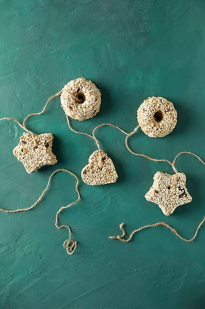 Terrain Holiday Bird Seed Garland In Neutral