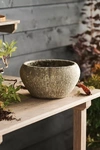 Terrain Barnacle Button Bowl Planter