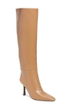 Jeffrey Campbell Darlings Pointed Toe Knee High Boot In Dark Beige