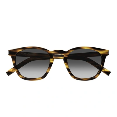 Saint Laurent Eyewear Sunglasses In Havana