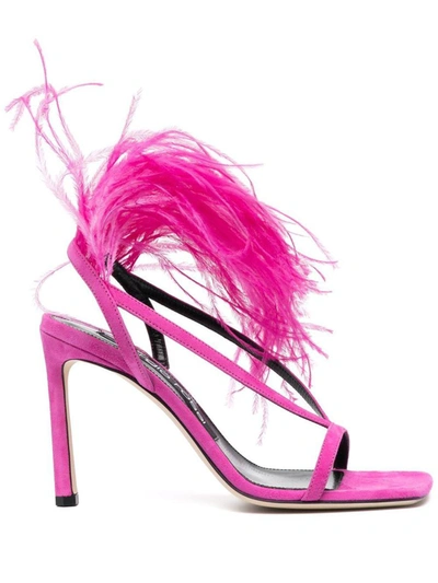 Sergio Rossi Feather-trim Suede-leather Sandals In Fuchsia