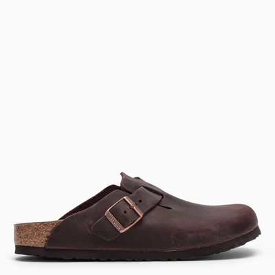 Birkenstock Boston Oiled Sabot In Habana Leather In Brown