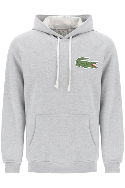 Comme Des Garçons Shirt Lacoste Big Crocodile Hoodie In Grey