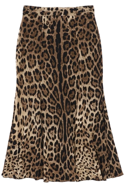 Dolce & Gabbana Leopard Skirt In Mixed Colours