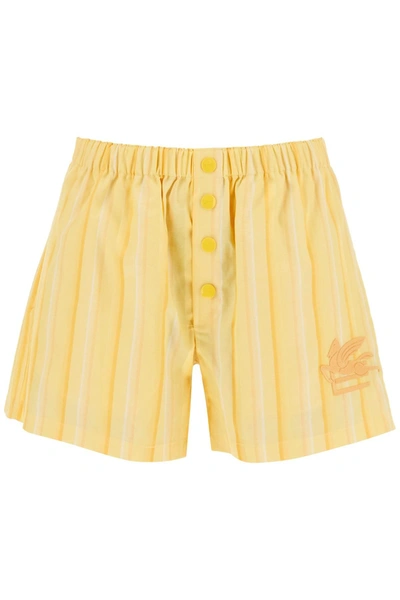 Etro Embroidered Striped Cotton And Silk-blend Shorts In Yellow