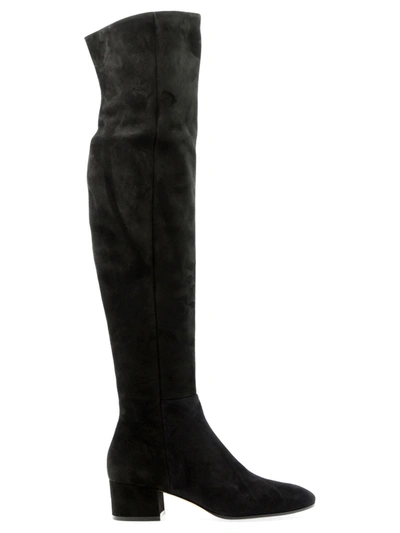 Gianvito Rossi Rolling Mid 50mm Knee-high Boots In Black