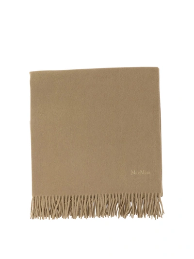 Max Mara Cashmere Stole With Embroidery Scarves In Brown