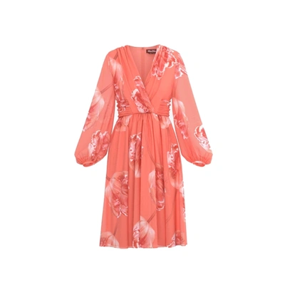 Max Mara Nevis Midi Dress In Pink