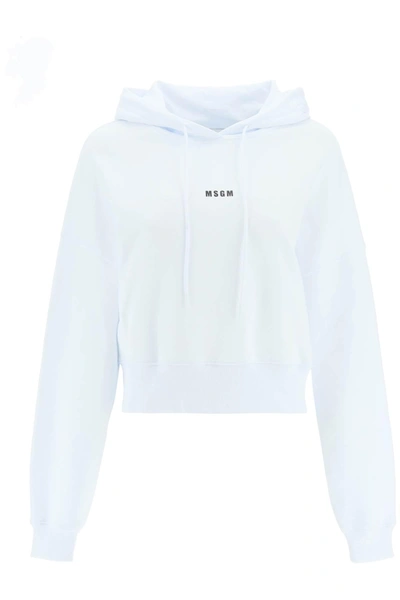 Msgm Small Logo Cropped Sweatshirt In White