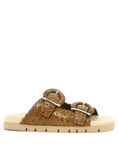 Pons Quintana "caiman" Sandals In Brown