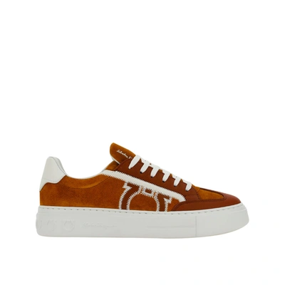 Ferragamo Salvatore  Borg Suede Sneakers In Multi