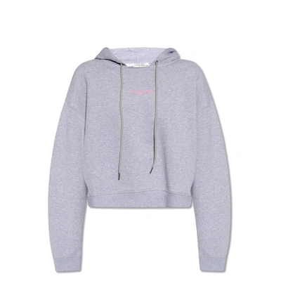 Stella Mccartney Sweatshirt With Logo Embroidery In Grey