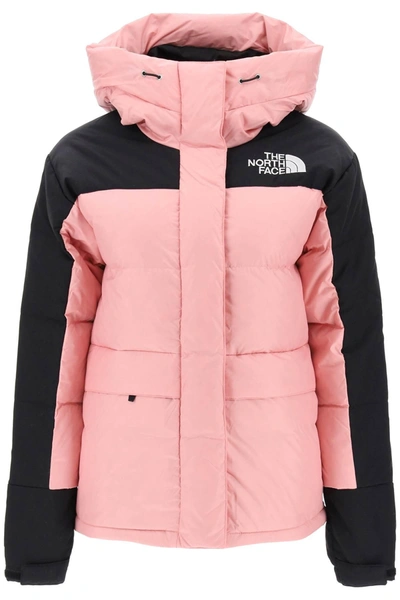 The North Face Himalayan 550 Down Jacket In Shady Rose Tnf Black (pink)
