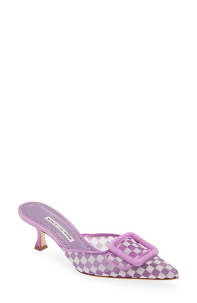 Manolo Blahnik Maysalebi Buckle Pointed Toe Mule In Purple