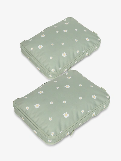 Calpak Large Compression Packing Cubes In Daisy