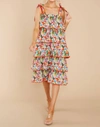 CROSBY BY MOLLIE BURCH BECKETT DRESS/SKIRT IN GIVERNY