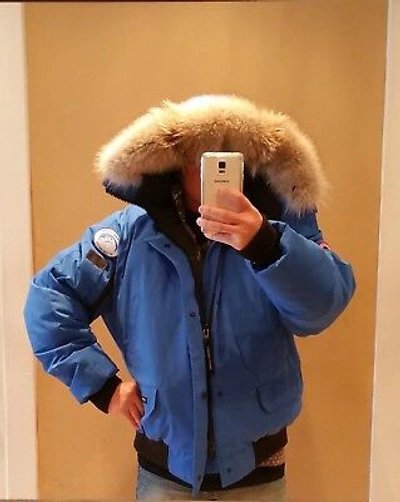 Pre-owned Canada Goose Latest Concept Grey Label  Pbi Chilliwack Large Parka In Royal Blue (polar Bear Limited Edition) Pbi