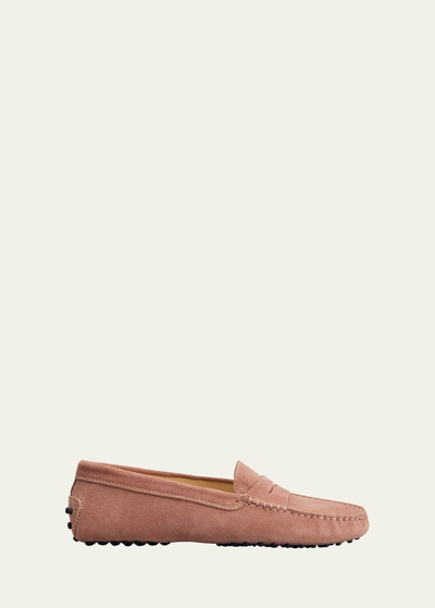 Tod's Gommini Suede Driver Penny Loafers In Pink