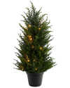 Nearly Natural 18in Cedar Artificial Tree With Led Lights In Green