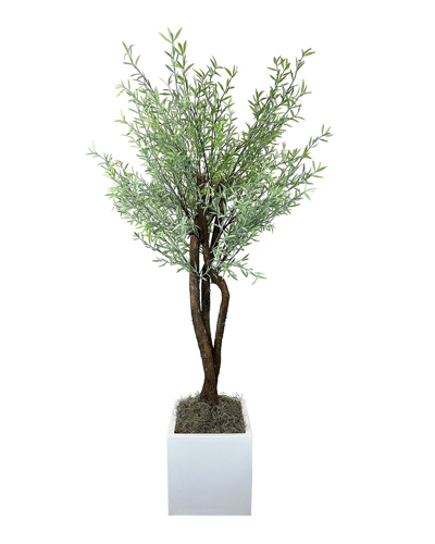 Creative Displays Organic Modern Myrtle Tree In Pot In Green