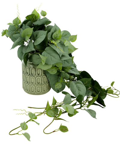 Creative Displays Frosted Ivy Arrangement In Green
