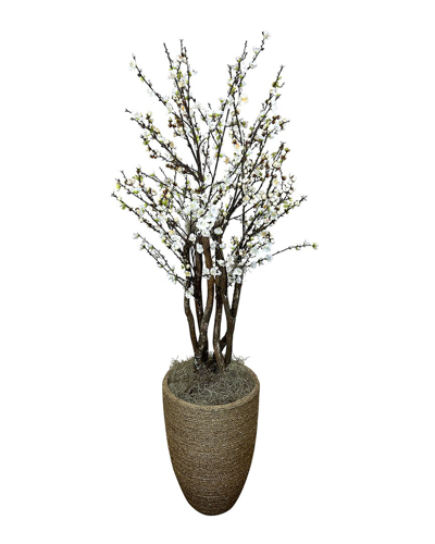 Creative Displays 6ft White Cherry Blossom Tree In Pot