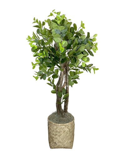 Creative Displays Decorative Ficus In Bamboo Planter In Green