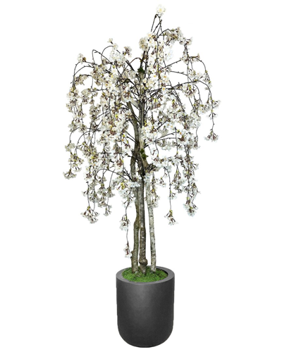 Creative Displays 6ft White Cherry Blossom Tree In Round Fiberstone Planter