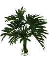 Creative Displays Organic Modern Philodendron Arrangement In Green