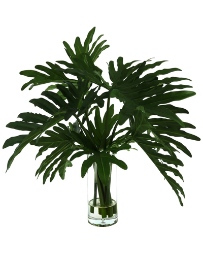 Creative Displays Organic Modern Philodendron Arrangement In Green