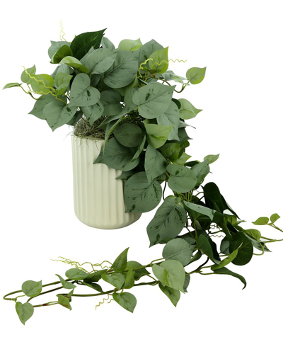 Creative Displays Frosted Ivy In Ceramic Vase In Green