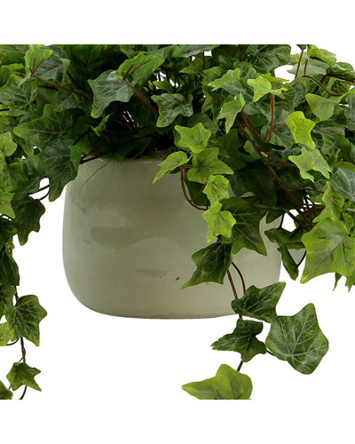 Creative Displays Decorative Ivy Arrangement In Ceramic Pot In Green