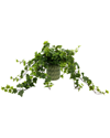 CREATIVE DISPLAYS CREATIVE DISPLAYS DECORATIVE IVY ARRANGEMENT IN CERAMIC POT