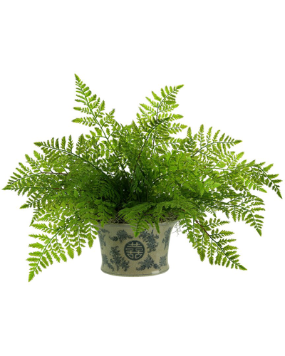 Creative Displays Fern In Decorative Pot In Green