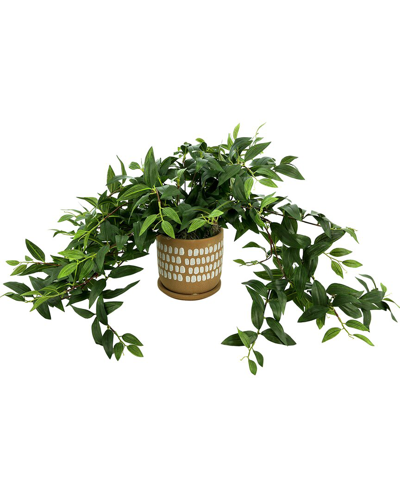 Creative Displays Ivy In Decorative Pot In Green