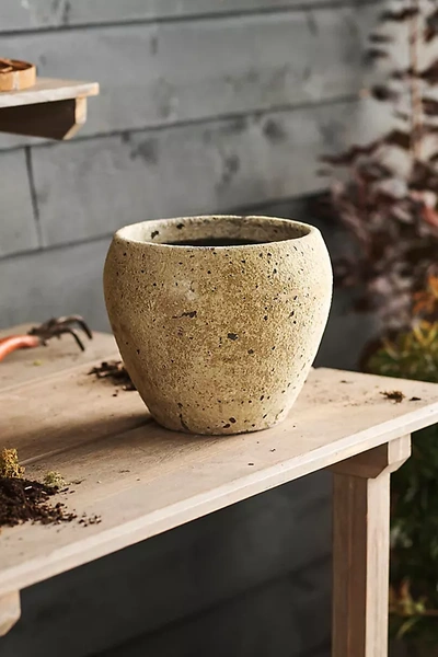 Terrain Barnacle Round Shoulder Planter, 9" In Brown