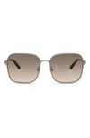 Tiffany & Co 60mm Gradient Square Sunglasses In Brown Gradient