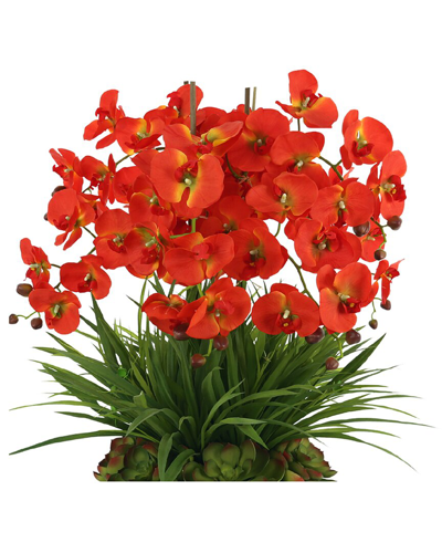 Creative Displays Orchid And Succulent Floral Arrangement In A Fiberstone Pot In Orange