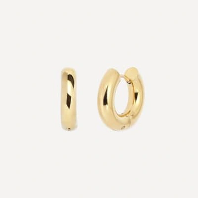 Nula Petrel Hoop Earrings In Gold