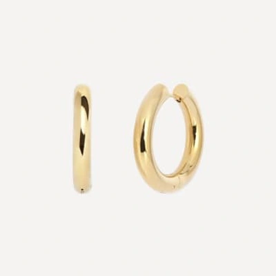 Nula Petrel Hoop Earrings In Gold