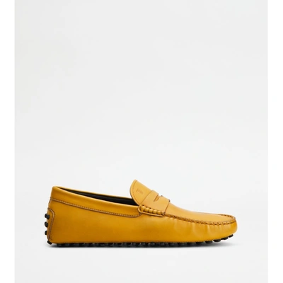 Tod's Gommino Driving Shoes In Leather In Yellow