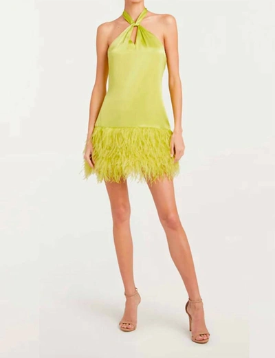 Cinq  Sept Barb Feathered Silk Mini Halter Dress In Multi | ModeSens