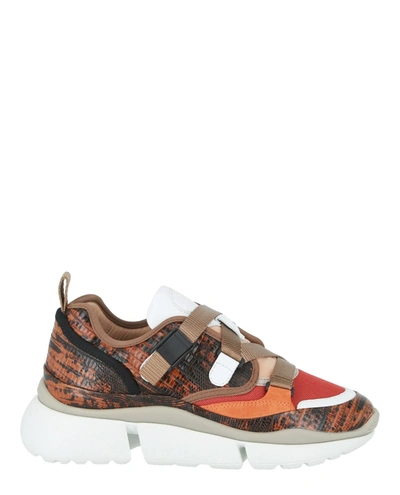 Chloé Sonnie Leather Low-top Sneakers In Multi