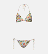 Etro Bouquet-print Bikini Set In Multicoloured