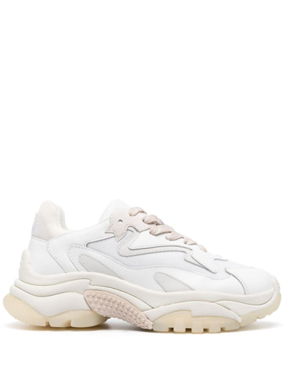 Ash Addict Panelled Low-top Sneakers In Bianco